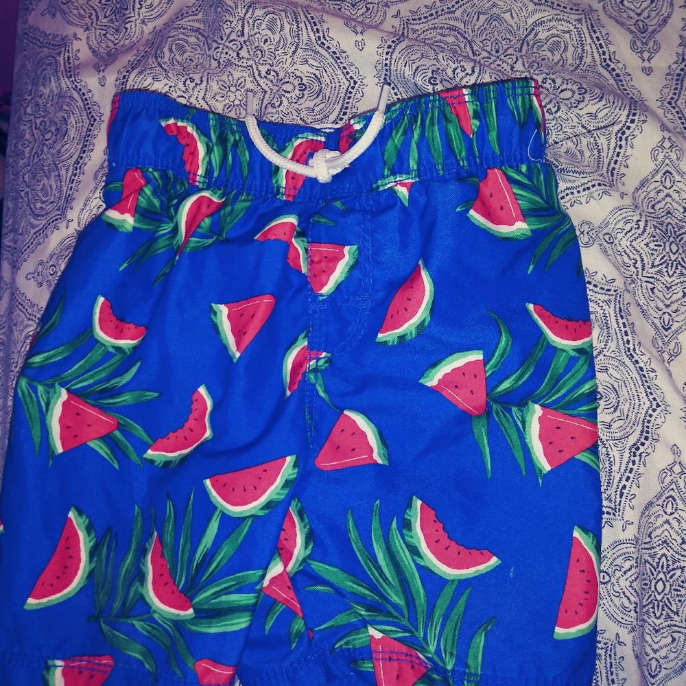 2t boys swim trunks